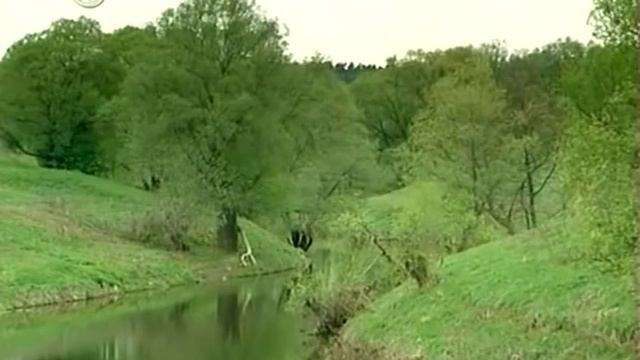 Константин Паустовский. Тарусские дали смотреть онлайн