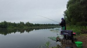 Ловля леща на реке Березина.