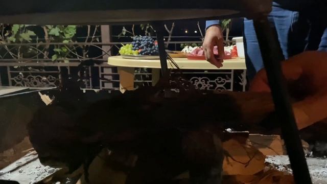 Жаркое по-ДАГЕСТАНСКИ! Лучший Рецепт Приготовления Мяса с Овощами на костре