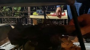 Жаркое по-ДАГЕСТАНСКИ! Лучший Рецепт Приготовления Мяса с Овощами на костре