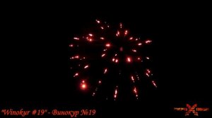Звездки "Winokur №19" - Винокур №19