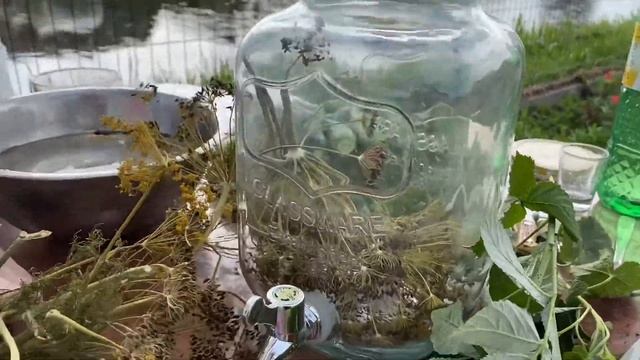 Малосольные огурцы быстрый рецепт. Лучшие хрустящие огурцы. Солим огурцы под дождем.