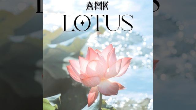 AMK - Lotus