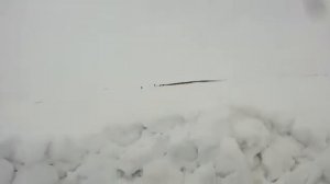 #Гусиная охота в Воркуте!!Весна 2018!