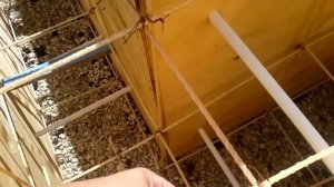 Фундамент под дом ленточно-свайный с мелким заглубление видимые ошибки даже не для профессионала