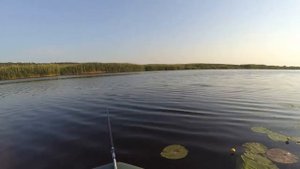 @Поплавочная удочка  Рыбалка летом на реке Ворскла  15 06 18