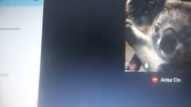 Парень дурак проиграл смотреть онлайн