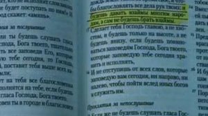 Петров о Евреях