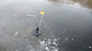 Трофеи по перволедию. Зимния рыбалка на жерлецы.