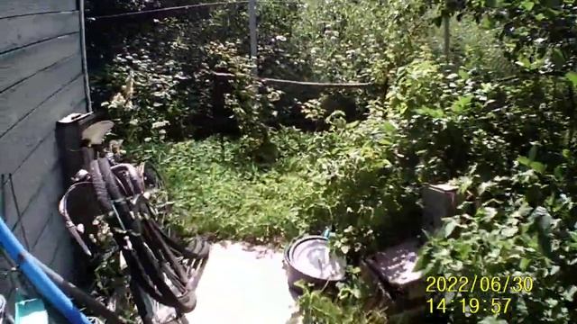 #Z Крыл крышу старым линолиум у дачнице 3 года назад . смотреть онлайн