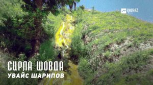 Увайс Шарипов - Сирла шовда | KAVKAZ MUSIC CHECHNYA