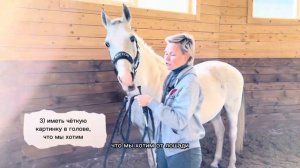 Работа с лошадью в руках | Основы основ | Для новичков