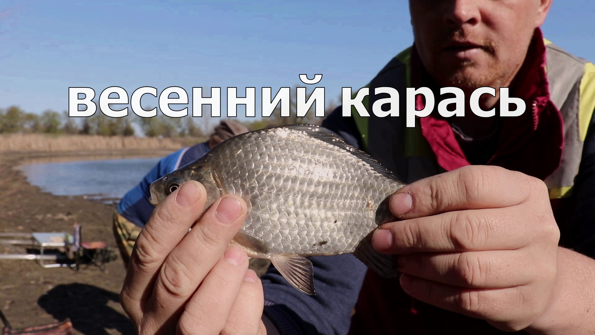 Волгоградская. обл.  Рыбалка на фидер. Весенний карась.