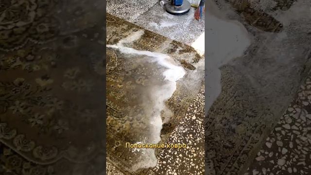 Этапы чистки ковра