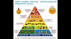 Жир, великий обман 20 ого века. Жир вред или польза?