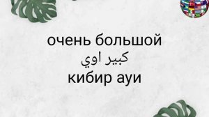 Уроки арабского языка египетский диалект общие употребительные фразы в магазине одежды