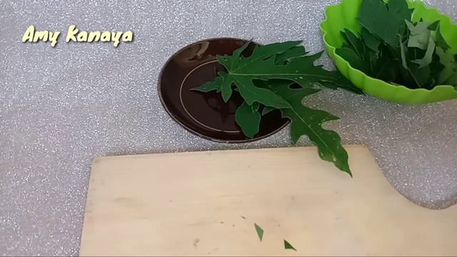 Jus daun pepaya liar gunung salak‼️wild papaya leaf juice from the mountain salak #papaya #pepaya