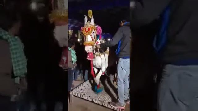 Nisar bhai khachrod Ghodi baggi wale purana Thane Ke Piche mo 78288 303 62 смотреть онлайн