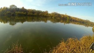 Ловля окуня в конце сентября на дропшот