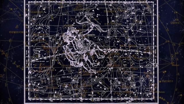 Близнецы в год Обезьяны - характер