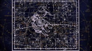 Близнецы в год Обезьяны - характер