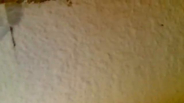 отрыв OSB от SIP смотреть онлайн