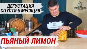ПЬЯНЫЙ ЛИМОН - уникальная вкусная настойка из "отходов" Лимончелло и Чачи! ДЕГУСТАЦИЯ