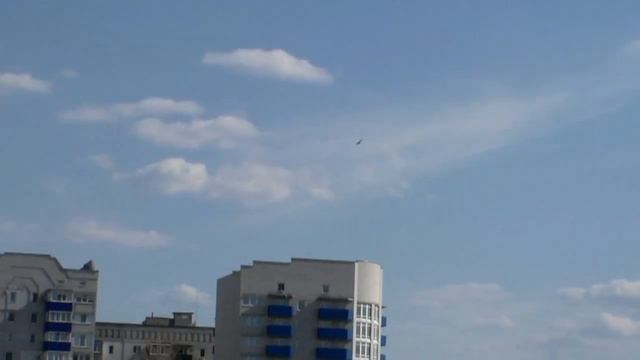 Хитрый ястреб