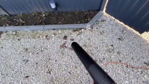Садовый пылесос RYOBI RBV3000CESV (воздуходувка)