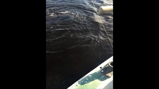 Подъязок! смотреть онлайн