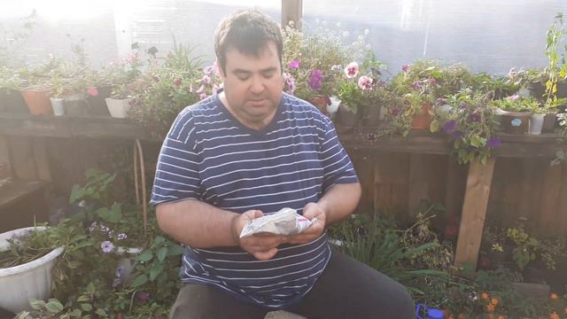 Рассада разрастается и зацветает прямо на глазах. Полейте этим удобрением. смотреть онлайн