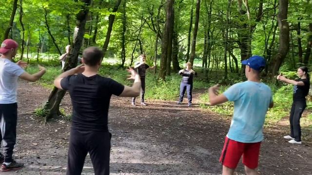 Тренировки по ушу цигун в парке. 2020 г. смотреть онлайн