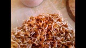 Проростки красной чечевицы.Суп из чечевицы.