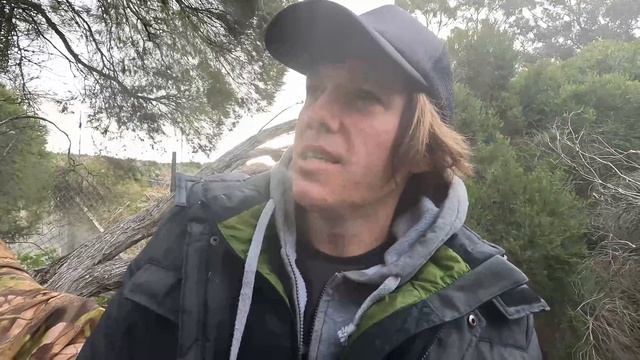 Urban Stealth Camping in City Park Next to Drainage Channel | High Risk Area | Fallen Tree Shelter смотреть онлайн