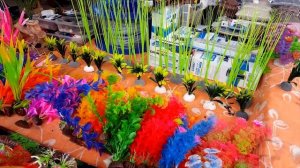 Ташкентский птичий рынок: Аквариум балиқлари - Аквариумные рыбки 4.01.20