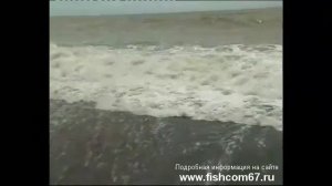 Морская рыбалка  - серф рыбалка в Новой Зеландии