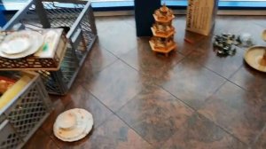 УДАЧНО ЗАШЛА на БАРАХОЛКУ! КРАСИВАЯ посуда, ФАРФОР, СТЕКЛО, ВИНТАЖ!