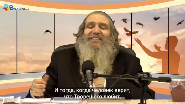 Рав Шалом Аруш | Как радость поможет стать успешным смотреть онлайн