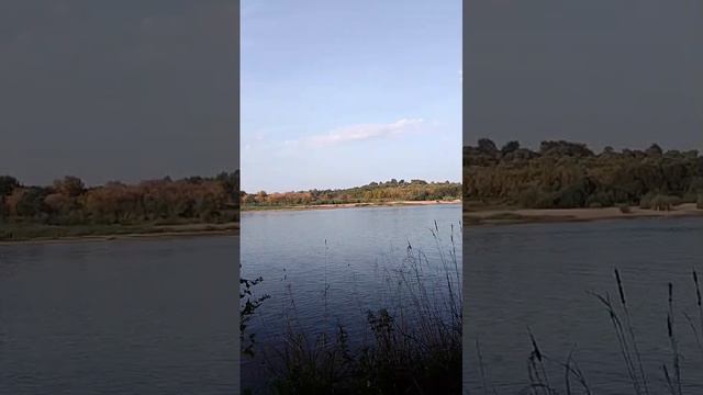 autumn смотреть онлайн