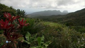 Ароматы мира 9 серия «Ароматы Маврикия и Родригеса» (документальный сериал, 2007)