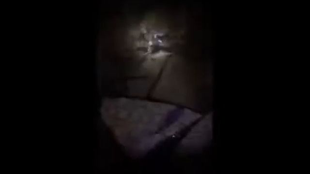 Выпуск в Неву атлантического лосося (сёмги) смотреть онлайн