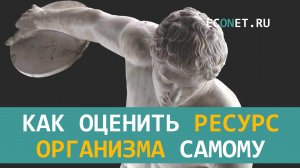 Как оценить ресурс организма самому