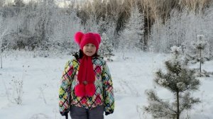 Лилия Гончаренко, стихотворение " В ожидании Нового года"