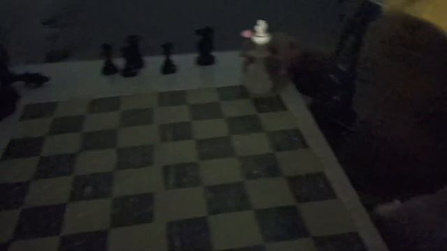 New chess lessons from Miroslav...Новые шахматные уроки от Мирослава смотреть онлайн