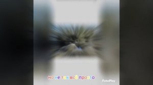 остров айтолико или остров пауков