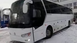 Автобус голден драгон