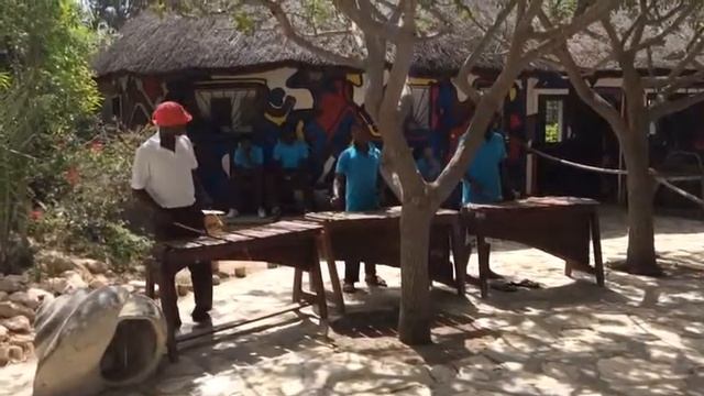 Африканские музыканты. Тунис. Зоопарк-парк Фригия в Хаммамете. смотреть онлайн