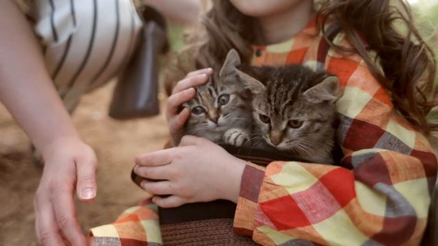Видео Бекстейдж Мастер Класса по фотографии смотреть онлайн