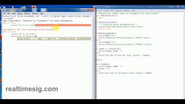 White Space Python explained