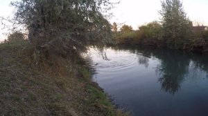 рыбалка рогаткой